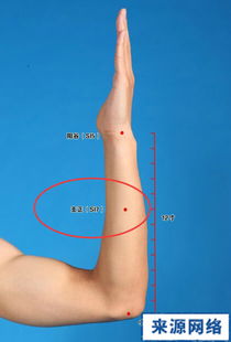 大椎的准确位置图作用功效及归经（大椎的准确位置及功效）(1)