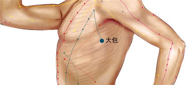 大椎的准确位置图作用功效及归经（大椎的准确位置及功效）(3)