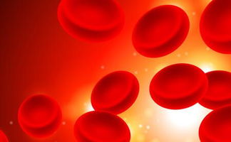 红细胞计数是什么：指单位体积血液中包含的红细胞数量(1)