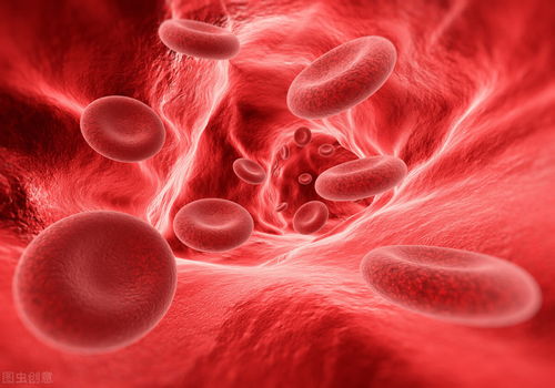 红细胞计数是什么：指单位体积血液中包含的红细胞数量(2)