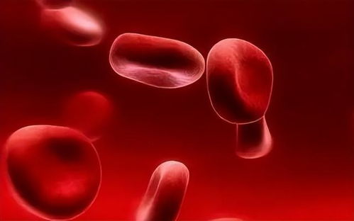 红细胞计数是什么：指单位体积血液中包含的红细胞数量(3)