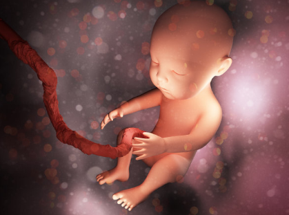 什么是脐带血（胎儿娩出断脐后残留在脐带和胎盘中的血液）(3)