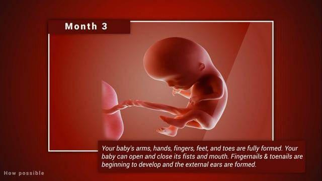 宝宝在妈妈肚子里几个月长得快（宝宝在妈妈肚子里各阶段发育）(3)