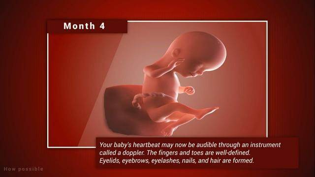 宝宝在妈妈肚子里几个月长得快（宝宝在妈妈肚子里各阶段发育）(4)