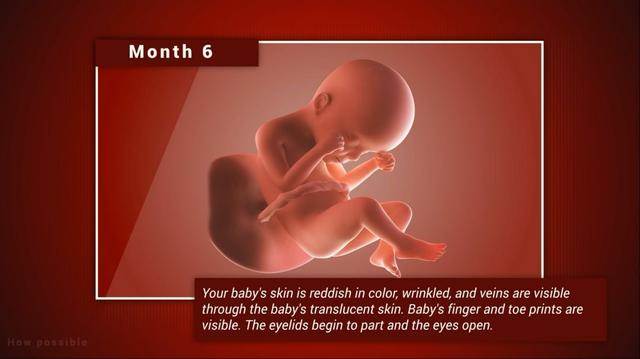 宝宝在妈妈肚子里几个月长得快（宝宝在妈妈肚子里各阶段发育）(6)