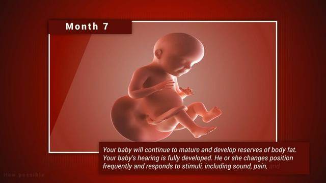宝宝在妈妈肚子里几个月长得快（宝宝在妈妈肚子里各阶段发育）(7)