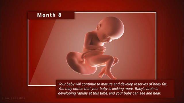宝宝在妈妈肚子里几个月长得快（宝宝在妈妈肚子里各阶段发育）(8)
