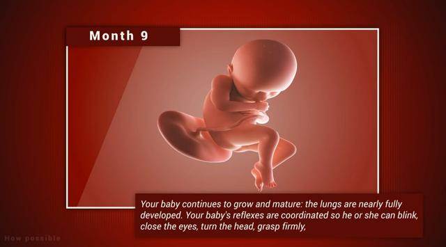 宝宝在妈妈肚子里几个月长得快（宝宝在妈妈肚子里各阶段发育）(9)